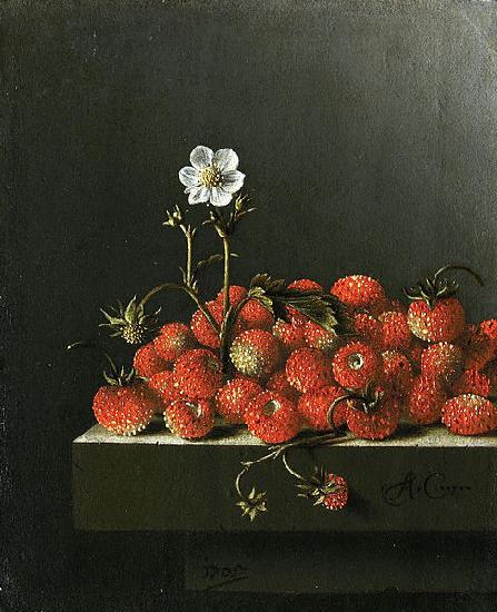 Adriaen Coorte Still life with wild strawberries. oil painting image